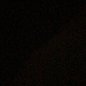 Meet your Posher, Channing